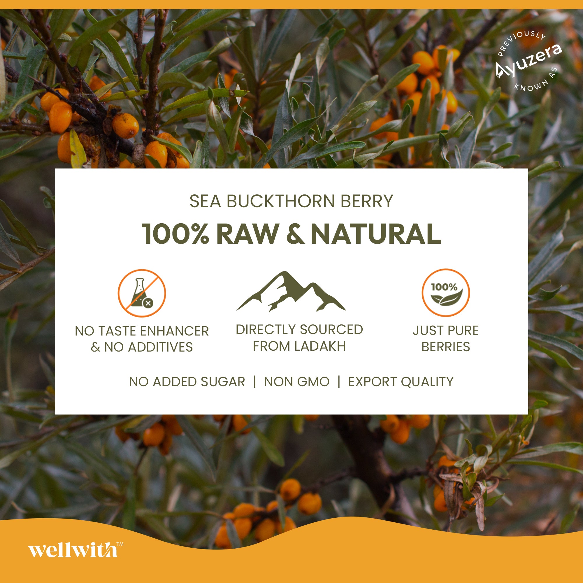 Sea Buckthorn Juice (Pure Pulp Concentrate)