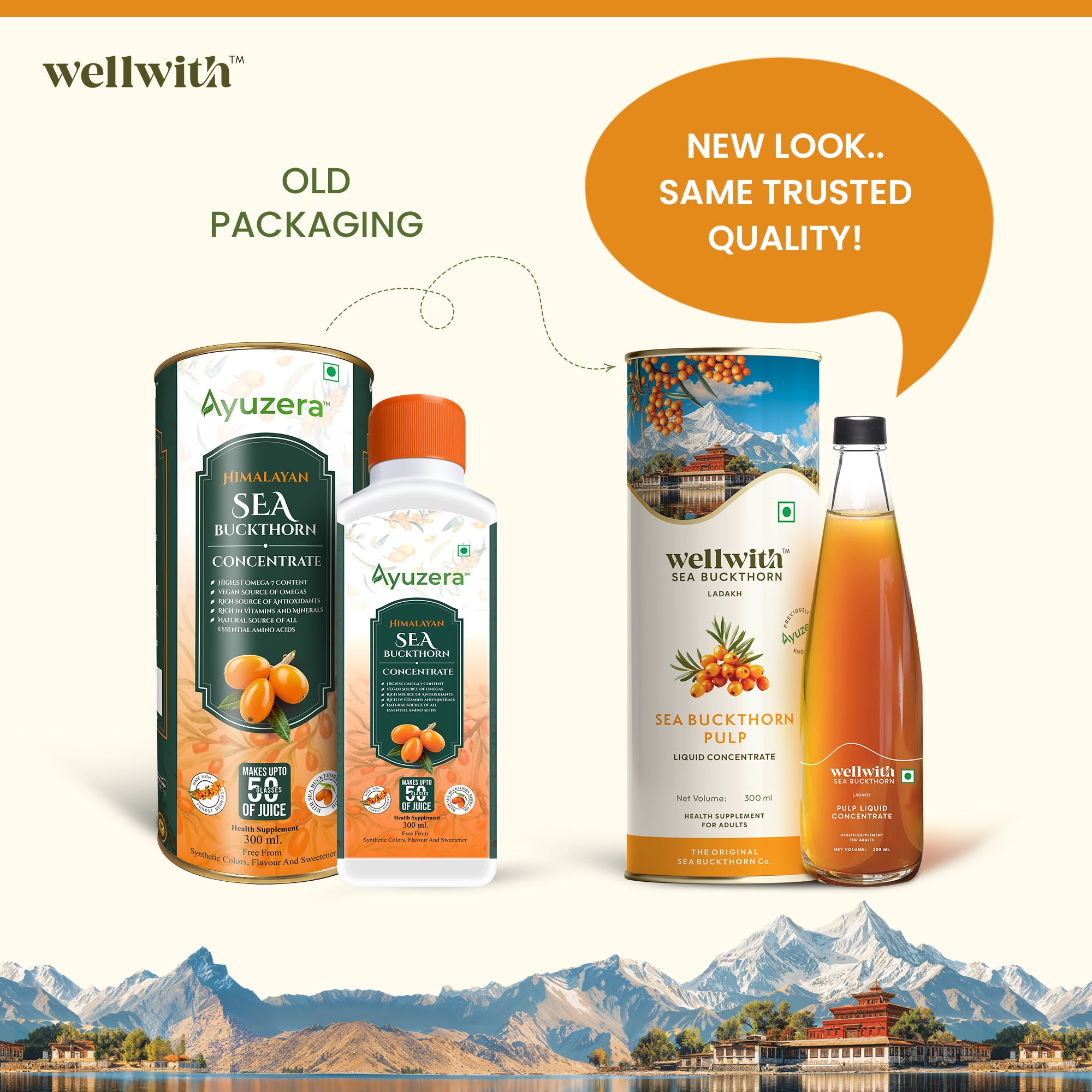 Sea Buckthorn Juice (Pure Pulp Concentrate)