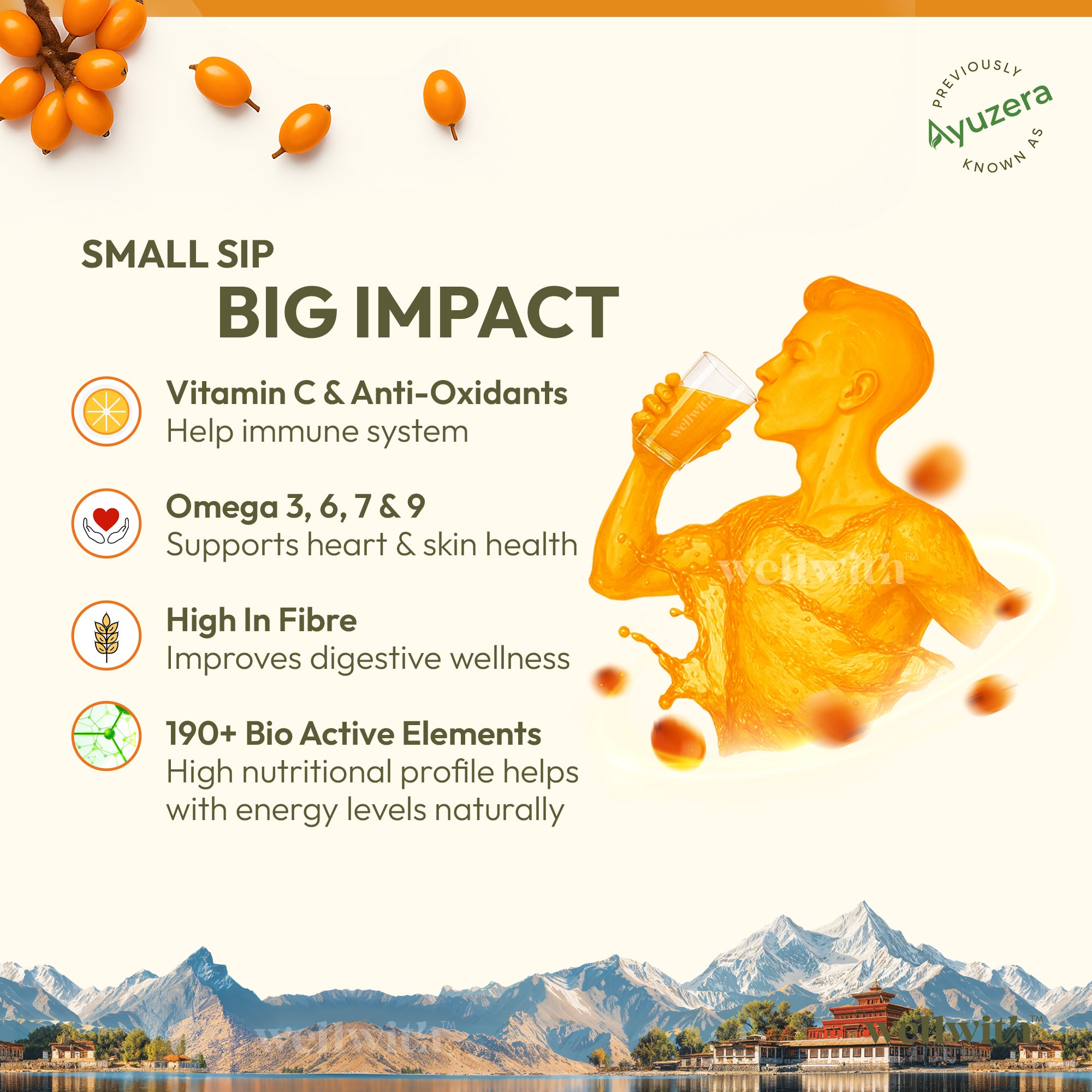 Sea Buckthorn Juice (Pure Pulp Concentrate)