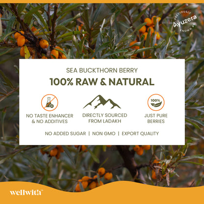 Sea Buckthorn Juice (Pure Pulp Concentrate)