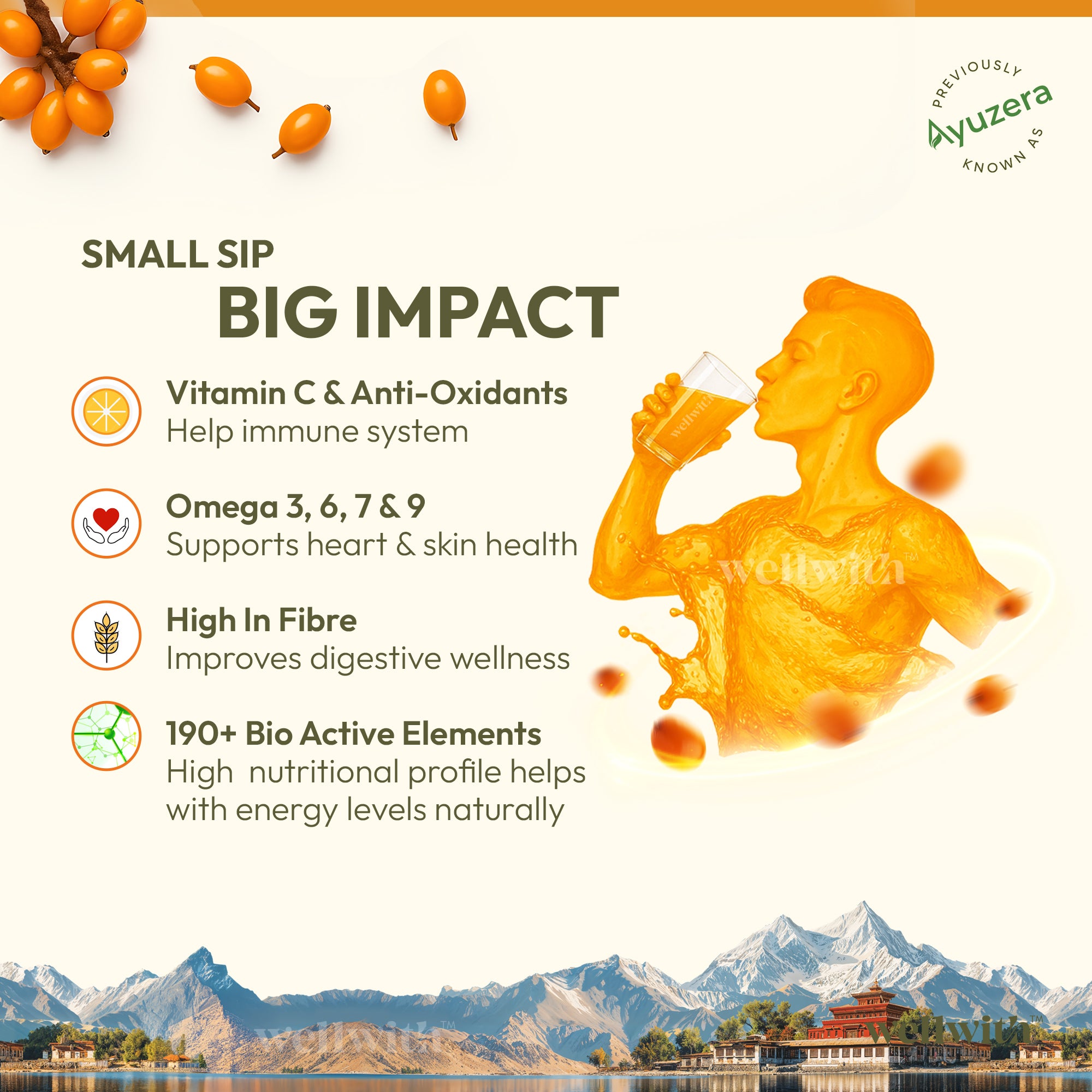 Sea Buckthorn Juice (Pure Pulp Concentrate)