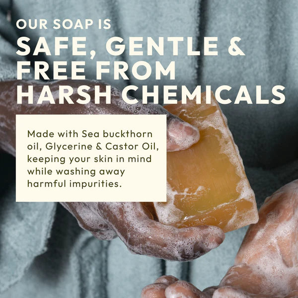 Sea Buckthorn Natural Soap (Pack of 3)